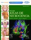 ATLAS DE NEUROCIENCIAS : NETTER