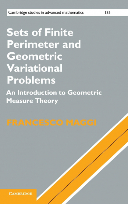 SETS OF FINITE PERIMETER AND GEOMETRIC VARIATIONAL PROBLEMS