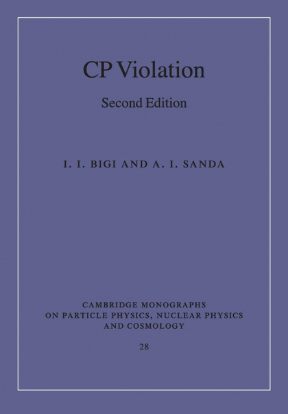 CP VIOLATION