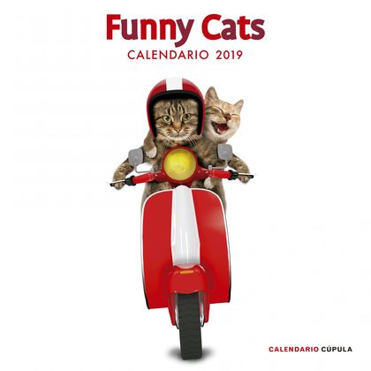 CALENDARIO FUNNY CATS 2019.