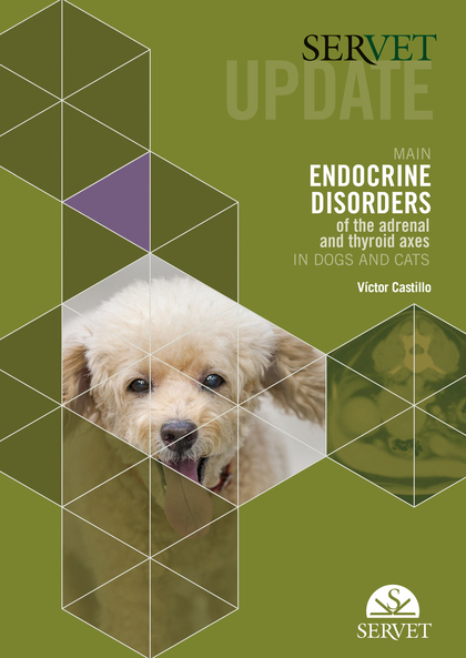 SERVET UPDATE. MAIN ENDOCRINE DISORDERS OF THE ADRENAL AND THYROID AXES IN DOGS