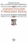 CONSTITUCION Y PROCESO PENAL