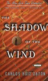THE SHADOW OF THE WIND