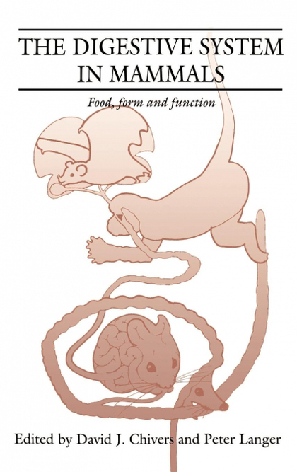 THE DIGESTIVE SYSTEM IN MAMMALS