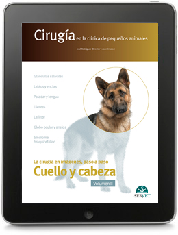 CIRUGÍA EN LA CLÍNICA DE PEQUEÑOS ANIMALES. CABEZA Y CUELLO. VOLUMEN II.