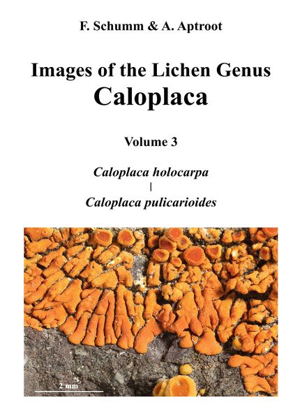 IMAGES OF THE LICHEN GENUS CALOPLACA, VOL 3                                     CALOPLACA HOLOC