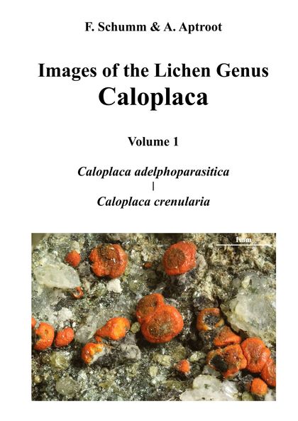 IMAGES OF THE LICHEN GENUS CALOPLACA, VOL 1                                     CALOPLACA ADELP