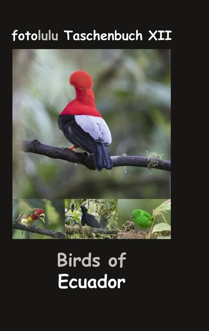 BIRDS OF ECUADOR                                                                FOTOLULU TASCHE