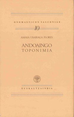 ANDOAINGO TOPONIMIA