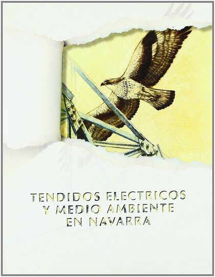 TENDIDOS ELÉCTRICOS Y MEDIO AMBIENTE EN NAVARRA