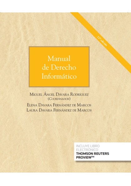 MANUAL DE DERECHO INFORMÁTICO (PAPEL + E-BOOK)