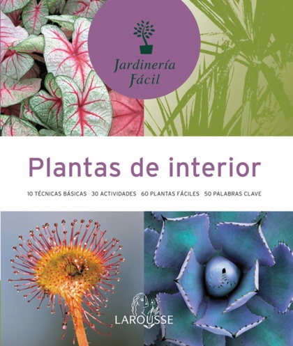 PLANTAS DE INTERIOR.