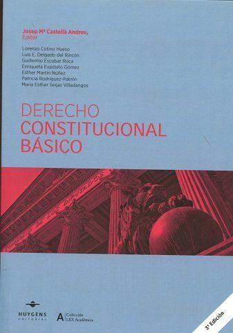 DERECHO CONSTITUCIONAL BÁSICO