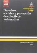DERECHOS SOCIALES Y PROTECCIÓN DE COLECTIVOS VULNERABLES TÉCNICAS DE TUTELA