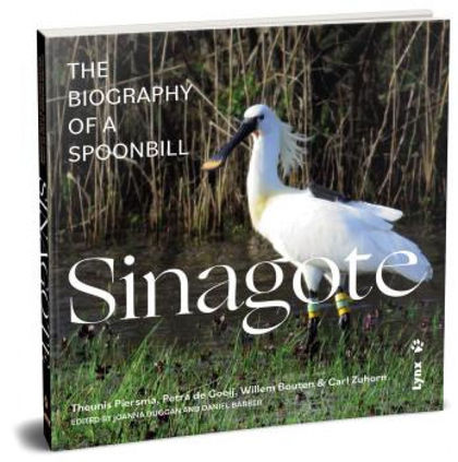 SINAGOTE, THE BIOGRAPHY OF A SPOONBILL