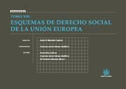 ESQUEMAS DE DERECHO SOCIAL DE LA UNIÓN EUROPEA, XIII