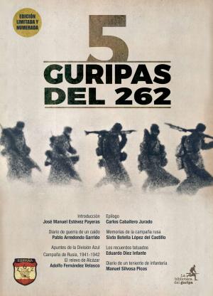 5 GURIPAS DE LA 262