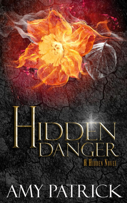 HIDDEN DANGER, BOOK 5 OF THE HIDDEN SAGA