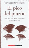 EL PICO DEL PINZÓN