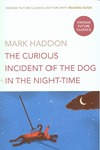THE CURIOUS INCIDENT OF THE DOG IN THE NIGHT-TIME.